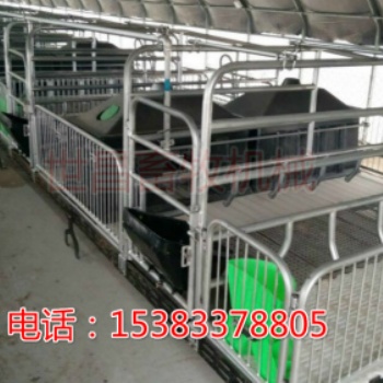 河北養(yǎng)豬設備廠家優(yōu)質(zhì)母豬雙體產(chǎn)床