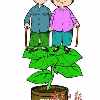 養老銀行賬戶遺失是否影響養老金發放？南海社保代理公司電話