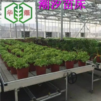 上饒溫室潮汐苗床系統(tǒng)價格咨詢?nèi)A耀農(nóng)業(yè)