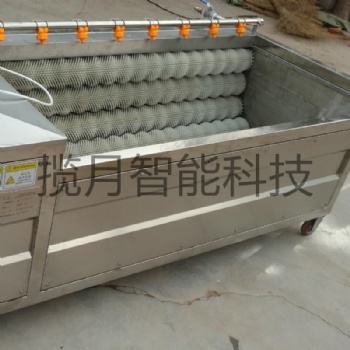 果蔬清洗機 氣泡清洗設(shè)備 工廠洗菜 全自動洗菜機