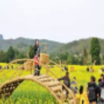 2019歡迎:泰興創(chuàng)意草編造型設(shè)計(jì)公司 - 泰安民間工藝品