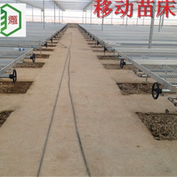 山東濱州現(xiàn)代化農(nóng)業(yè)種植育苗床移動(dòng)苗床華耀直接生產(chǎn)