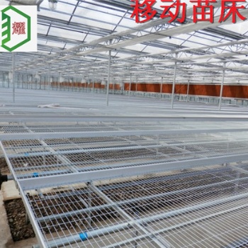 江西上饒育苗溫室移動(dòng)苗床苗床網(wǎng)配套批發(fā)廠價(jià)促銷