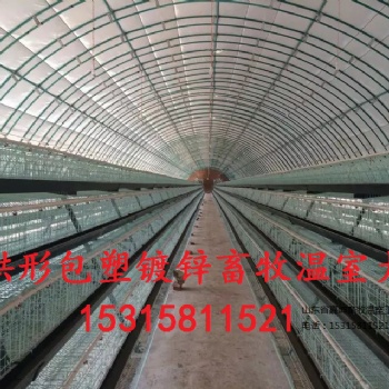 寧津縣嘉坤畜牧溫室大棚豬場自動化溫室大棚橢圓管定制棚優(yōu)質(zhì)養(yǎng)殖大棚全國供應