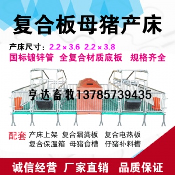 亨特畜牧供應(yīng)單雙體母豬復(fù)合產(chǎn)床小豬保育床價格尺寸