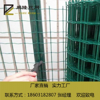 河北鵬隆絲網(wǎng) 公路防護網(wǎng) 荷蘭網(wǎng) 綠色養(yǎng)殖荷蘭網(wǎng) 現(xiàn)貨銷售