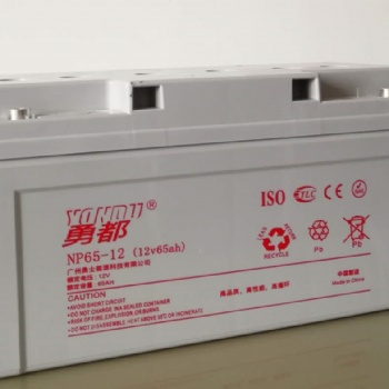 勇都蓄電池，鉛酸免維護蓄電池，12v系列