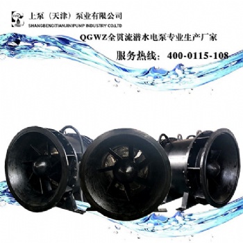珠海地區(qū)全貫流泵的用途