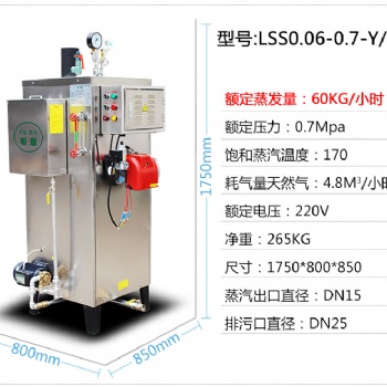 旭恩60公斤蒸汽發(fā)生器燃?xì)庹羝仩t