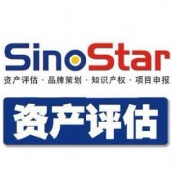無形資產評估，知識產權保護