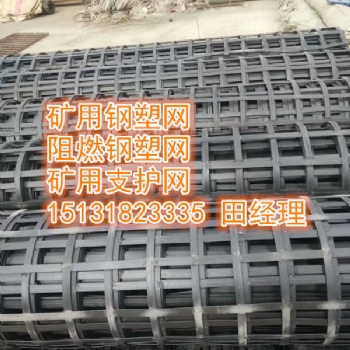 安平森旺生產(chǎn)鋼塑護(hù)幫網(wǎng)，雙抗網(wǎng)，阻燃鋼塑格柵網(wǎng)