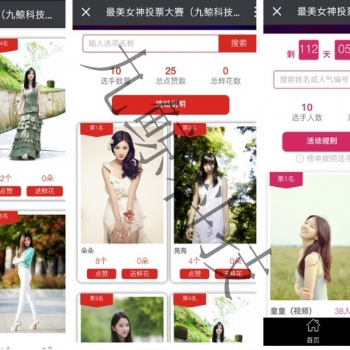 微信投票活動如何制作能快速吸粉賺錢，活動經驗總結！