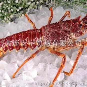 進(jìn)口印度凍蝦報(bào)關(guān)需要注意的地方