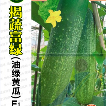 揭蔬商標(biāo)：揭蔬富綠（油綠黃瓜）F1 809