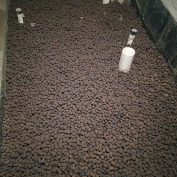 蜀山建筑陶粒，蜀山污水陶粒，蜀山回填陶粒，蜀山綠化陶粒價優