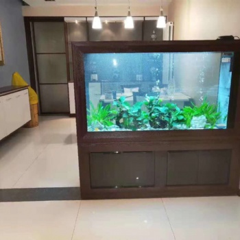 濟(jì)南高新區(qū)奧體中心魚(yú)缸造景