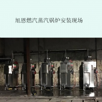 廣東橡膠生產(chǎn)用蒸汽發(fā)生器配套硫化機