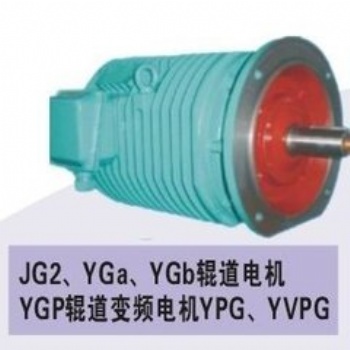 西安YG,YGa，YGb,YPG,YGP,YVPG變頻調(diào)速輥道電機(jī)廠家