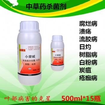 桃樹(shù)穿孔病區(qū)分和用藥 小檗堿靚果安奧豐廠家直供