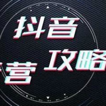 抖音運營分公司招商-抖音代運營/抖音培訓/網(wǎng)紅孵化