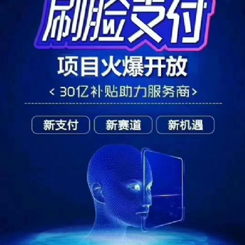 現在做刷臉支付項目，主要通過哪種方式？