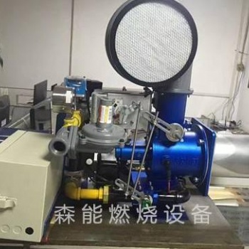 東莞正英燃燒器BJ100bj200高溫燃?xì)馊紵龣C(jī)保用一年