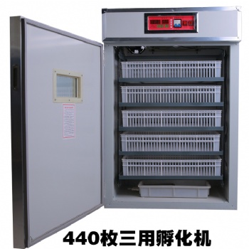 大中小型全自動孵化機、雞鴨鵝孵化機、鴿子孵化機、鳥類孵化機、鴕鳥孵化機、孔雀孵化機
