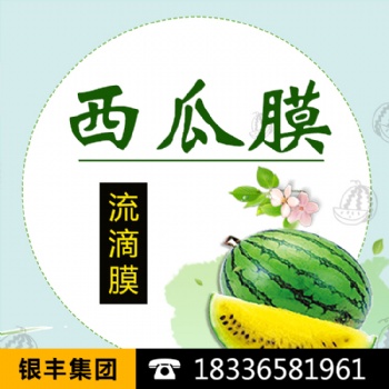 西瓜膜供應(yīng)商——銀豐塑料出售優(yōu)質(zhì)農(nóng)用膜