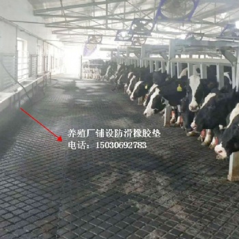 上海防滑墊，畜牧場所鋪設(shè)防滑膠墊，馬舍鋪設(shè)防滑墊，廣西牛欄墊