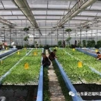 生態(tài)餐廳，農(nóng)業(yè)園區(qū)規(guī)劃