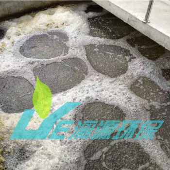 UASB-氧化溝工藝進行果汁廢水處理