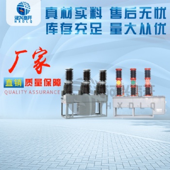 廠家ZW7 ZW17 ZW39-40.5戶外高壓真空斷路器長(zhǎng)期供應(yīng)