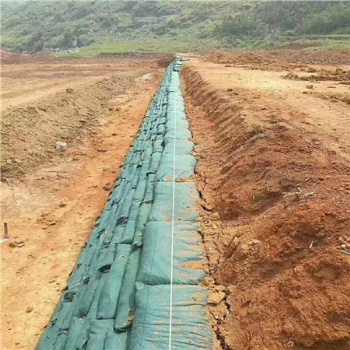 加工公路邊坡護(hù)坡聚丙烯生態(tài)袋 綠色抗老化生態(tài)袋 帶草籽防坡袋