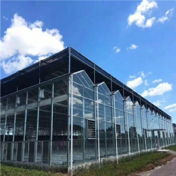 智能溫室 連棟溫室造價(jià) 溫室大棚工程