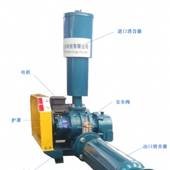 銷售供應(yīng)羅茨鼓風(fēng)機多種規(guī)格污水處理曝氣增氧用羅茨鼓風(fēng)機