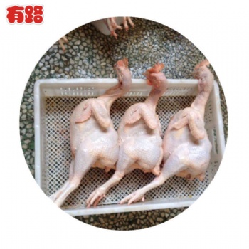 冷凍生鮮雞產(chǎn)品白條雞 蛋雞老母雞批發(fā)，種雞老母雞廠家 山東有路食品長期供應