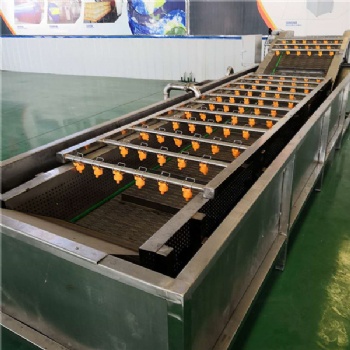 廠家生產(chǎn)全自動蔬菜清洗機 秋葵氣泡清洗機