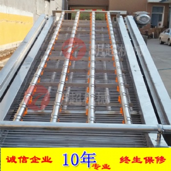 山野菜清洗機(jī) 氣泡清洗機(jī) 葉莖類蔬菜清洗機(jī)