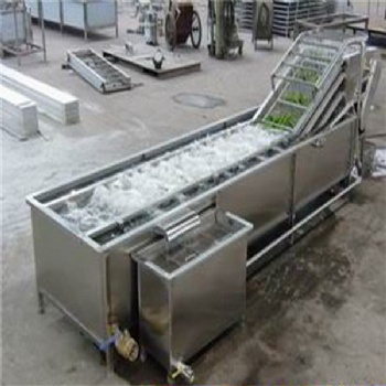 廠家生產(chǎn)全自動山野菜噴淋式氣泡清洗機