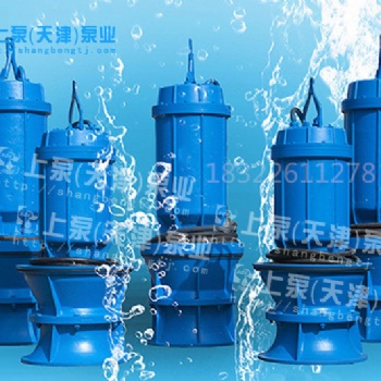 珠海市廠家供應城市的供水大流量ZLB系列軸流泵