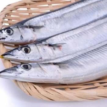 伊朗白帶魚(yú)進(jìn)口報(bào)關(guān)進(jìn)口找巨暉