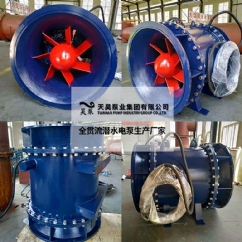 全貫流潛水閘門泵型號參數(shù)