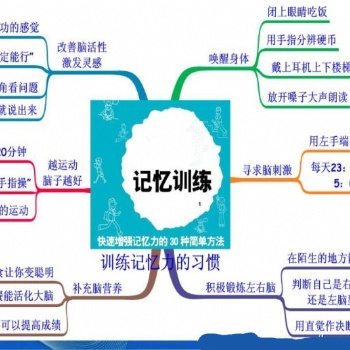 全腦開發(fā)有依據(jù) 記憶提升有方法