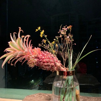 FlowerPlus—鮮花怎么養(yǎng)，鮮花如何保持時間長