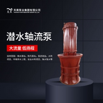 1400QZB海水取水潛水軸流泵生產(chǎn)廠家