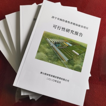 專業(yè)代寫可行性研究報告、穩(wěn)定風險評估、商業(yè)計劃書