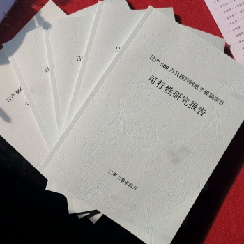 專業(yè)代寫穩(wěn)定風險評估報告、可行性研究報告、商業(yè)計劃書
