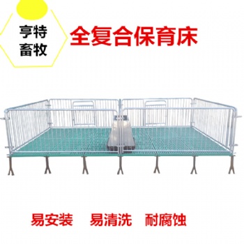 供應吉林豬場母豬產(chǎn)床定位欄保育床河北實體廠家