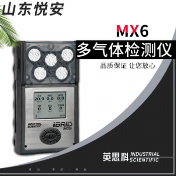 美國(guó)英思科MX6 便攜式 復(fù)合式六合一氣體濃度檢測(cè)儀 可檢18種氣體