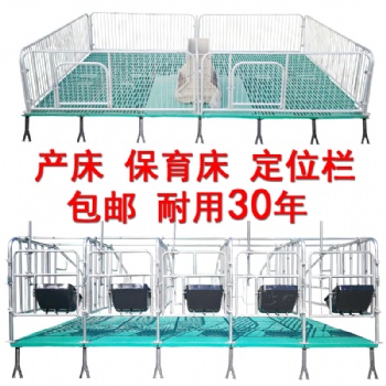 定位欄復合板限位欄豬養(yǎng)殖場保育床養(yǎng)殖設備母豬欄位產(chǎn)床包郵豬床
